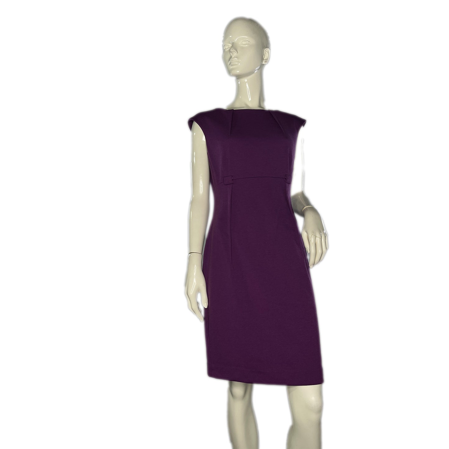 Calvin Klein Dress Above-Knee Cap Sleeve Purple Size 8 SKU 000213-7