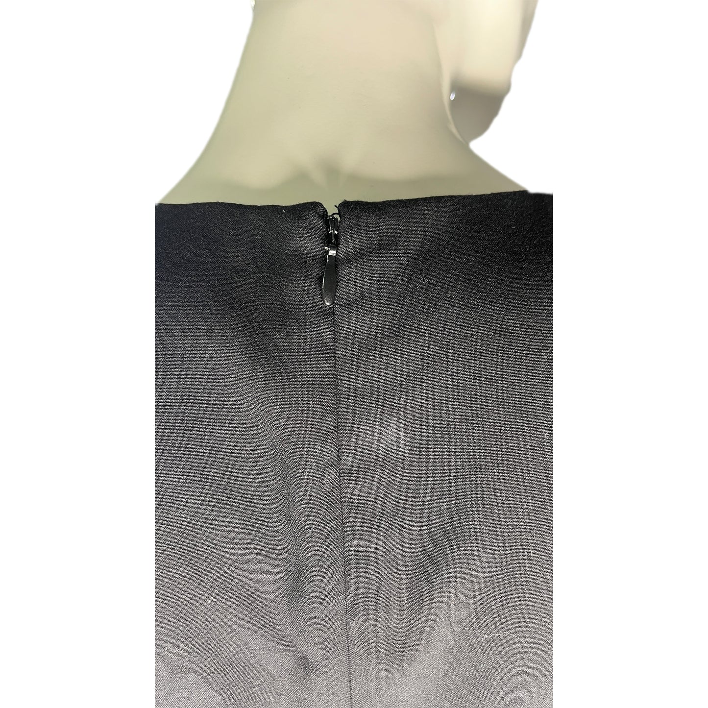 Calvin Klein Dress Sleeveless Snakeskin Panel Detail Black, White Size 2 SKU 000213-3