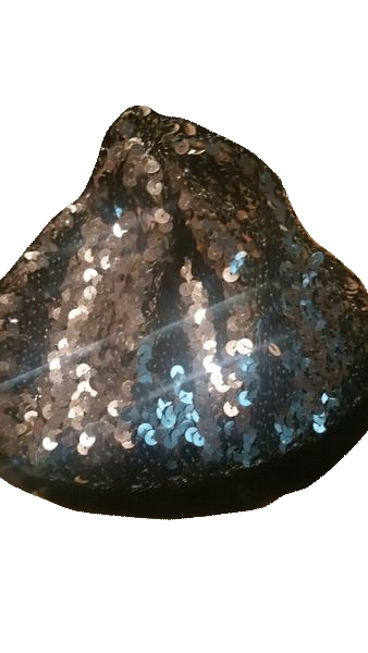 Load image into Gallery viewer, Midnight Navy Sequin Beret (SKU 000100)
