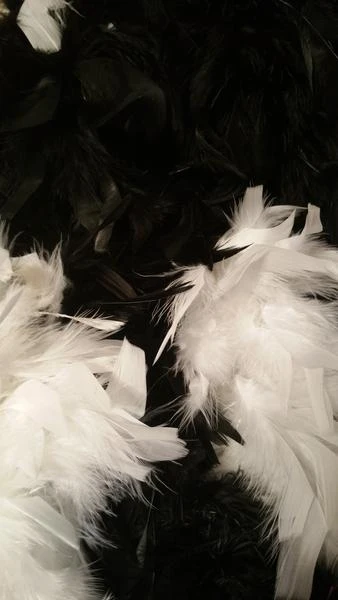 Black and White Ostrich Feather Boa SKU 000099