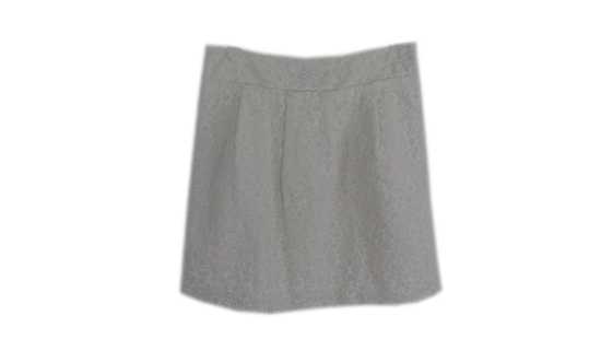 Ann Taylor Loft Skirt White Size 2 SKU 000243-6