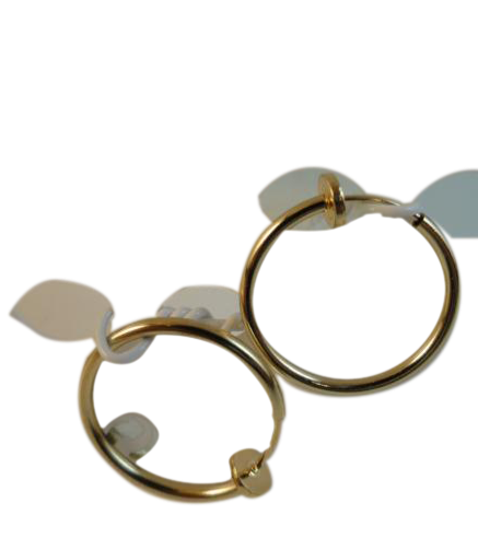 Earrings Hoops Gold NWOT (SKU 004002-13)