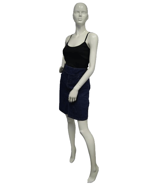 Tommy Hilfiger Skirt Get Down in Denim Size 6 (SKU 000021)