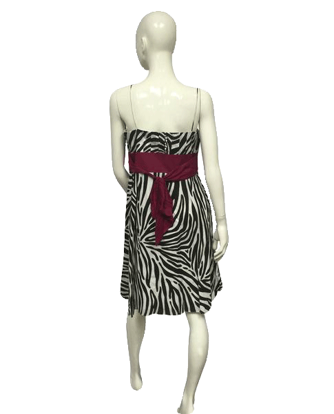 Ann Taylor Zebra Dress Size 12 P SKU 000076