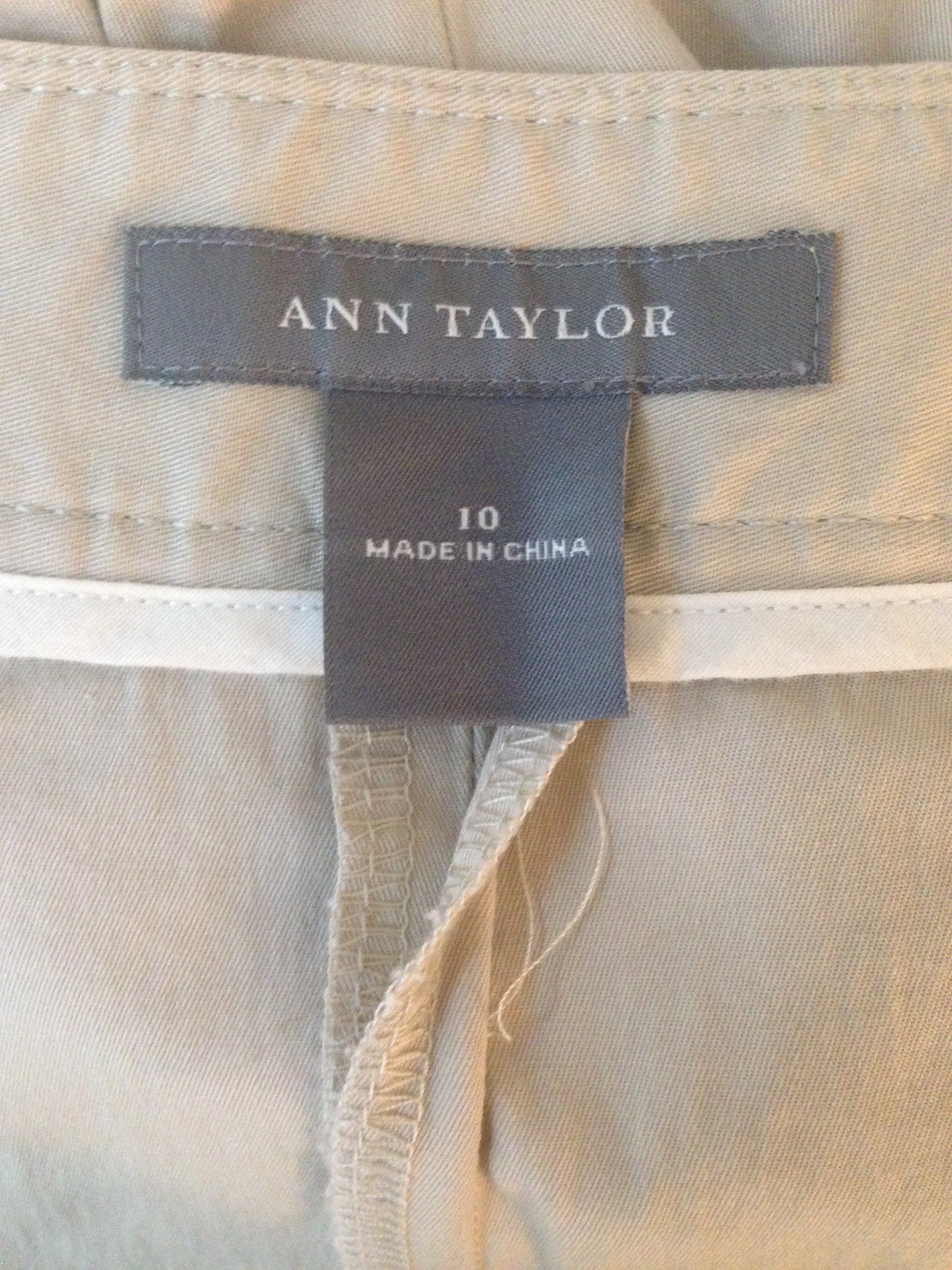 Ann Taylor Skirt Beige Size 10 SKU 000251-10