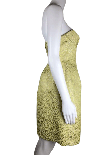 BCBG MAXAZRIA Strapless Dress Size 6 SKU 001005-7