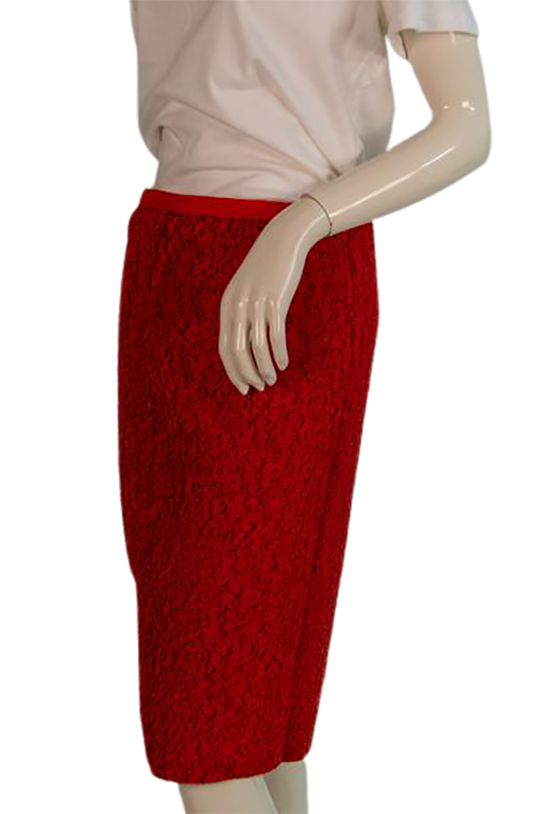 Skirt Red Size 10 SKU 000290-10